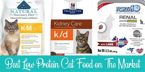 what is a novel protein diet for cats